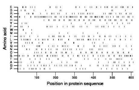 amino acid map