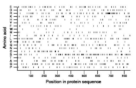 amino acid map