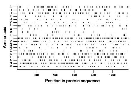 amino acid map