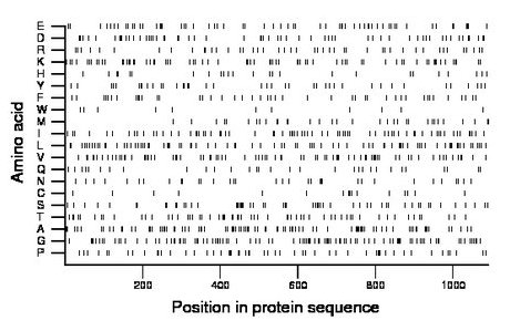 amino acid map