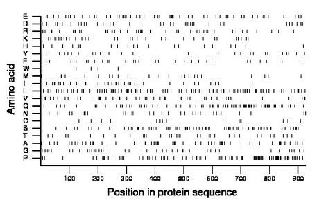 amino acid map