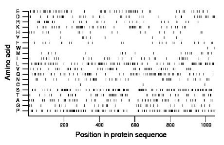 amino acid map