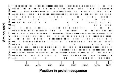 amino acid map