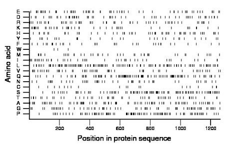 amino acid map