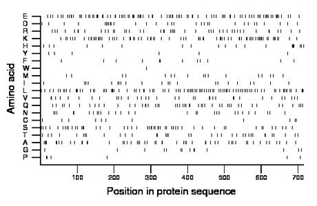 amino acid map