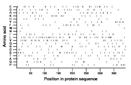 amino acid map