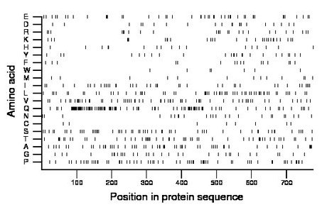 amino acid map