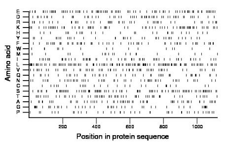 amino acid map