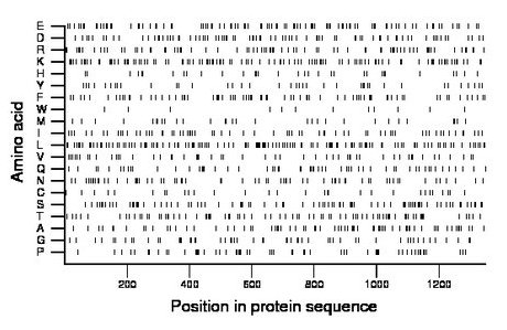 amino acid map