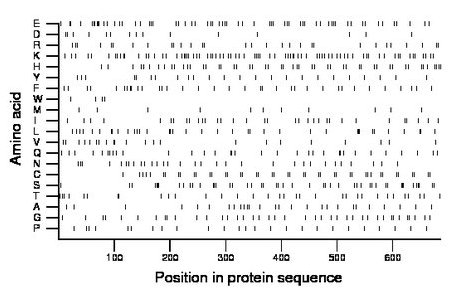 amino acid map