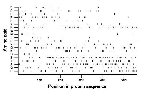 amino acid map