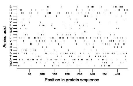 amino acid map