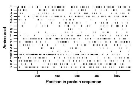 amino acid map