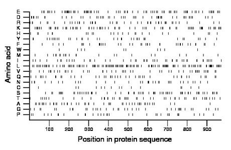 amino acid map