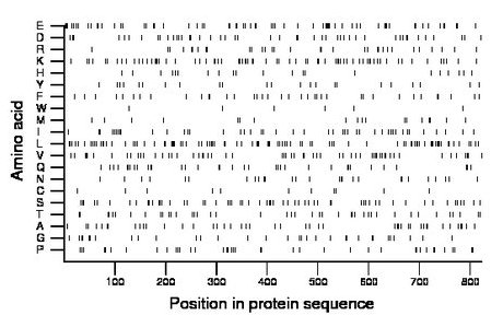 amino acid map