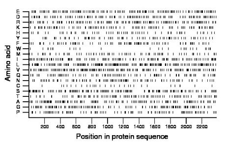 amino acid map