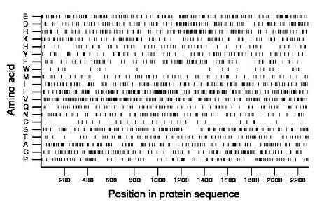 amino acid map