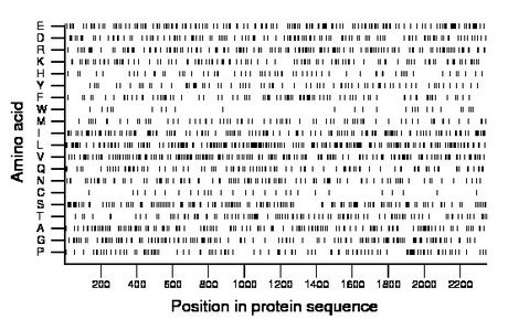 amino acid map