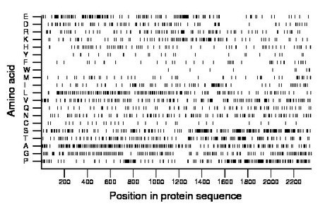 amino acid map