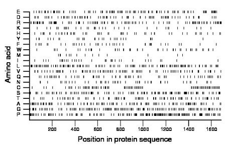 amino acid map