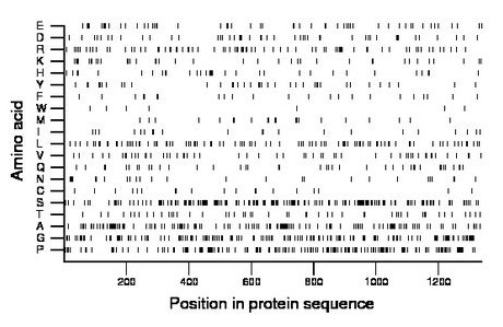 amino acid map