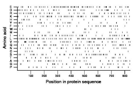 amino acid map