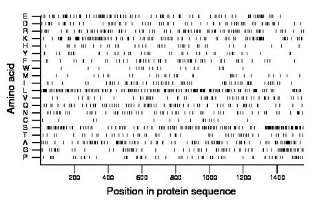 amino acid map