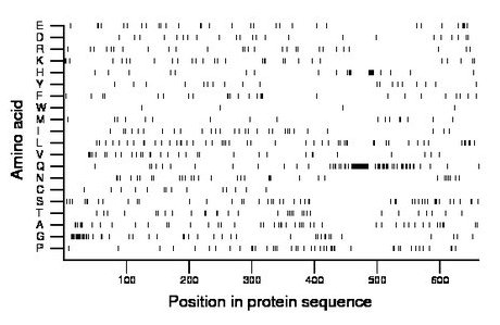 amino acid map