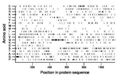 amino acid map