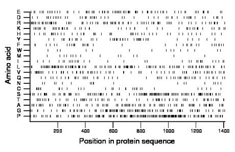 amino acid map