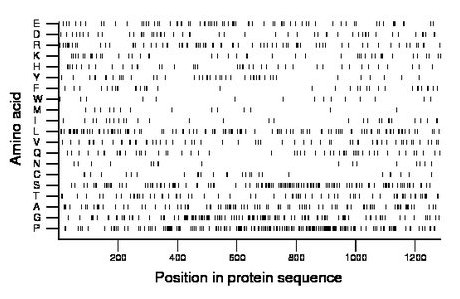 amino acid map