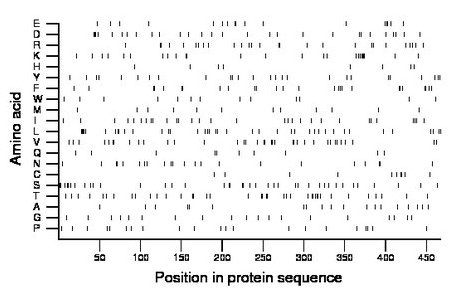 amino acid map