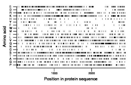 amino acid map