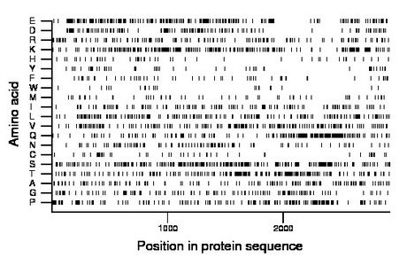 amino acid map