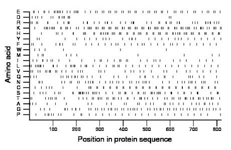 amino acid map