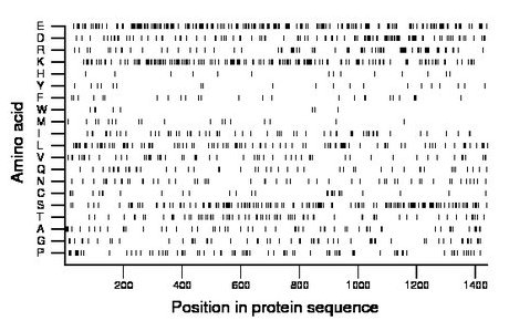 amino acid map