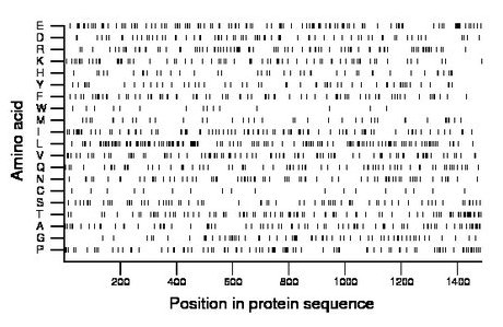 amino acid map