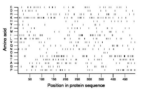 amino acid map