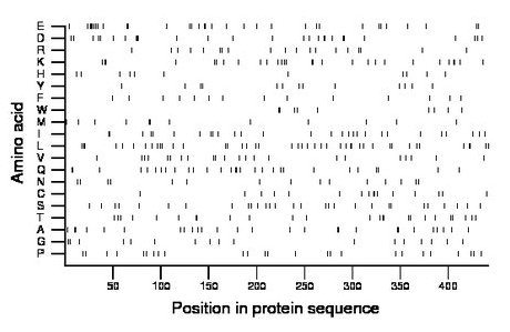 amino acid map