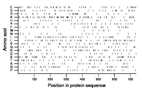 amino acid map