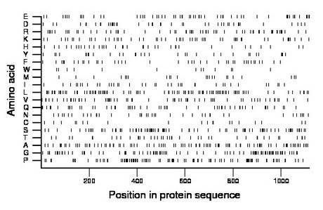 amino acid map