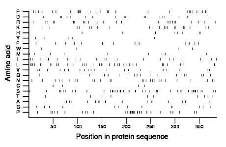 amino acid map