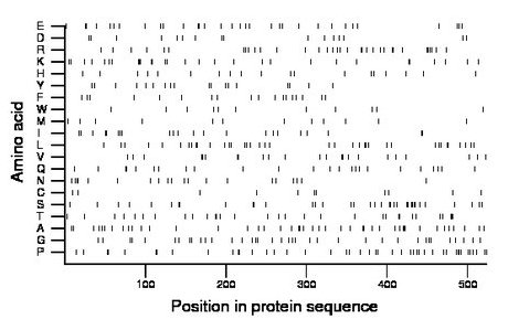 amino acid map