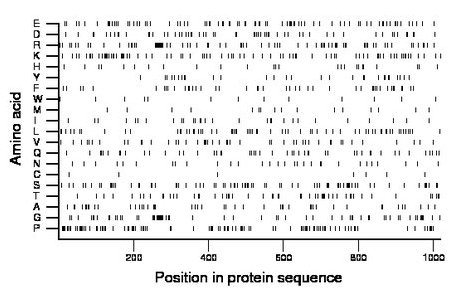 amino acid map