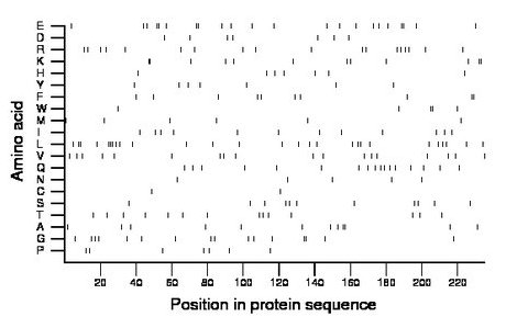 amino acid map