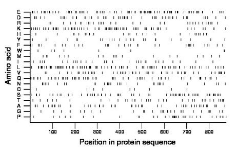 amino acid map