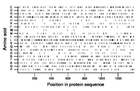 amino acid map