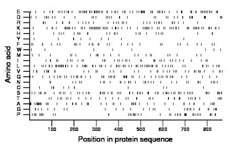 amino acid map