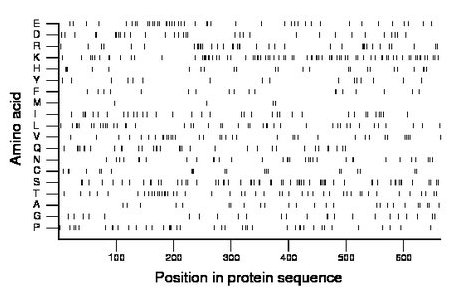 amino acid map