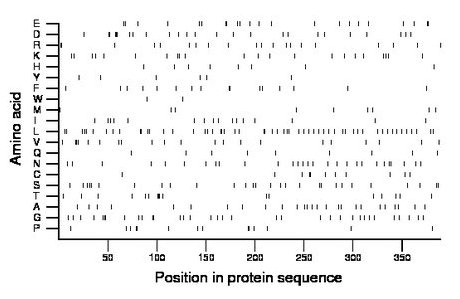 amino acid map